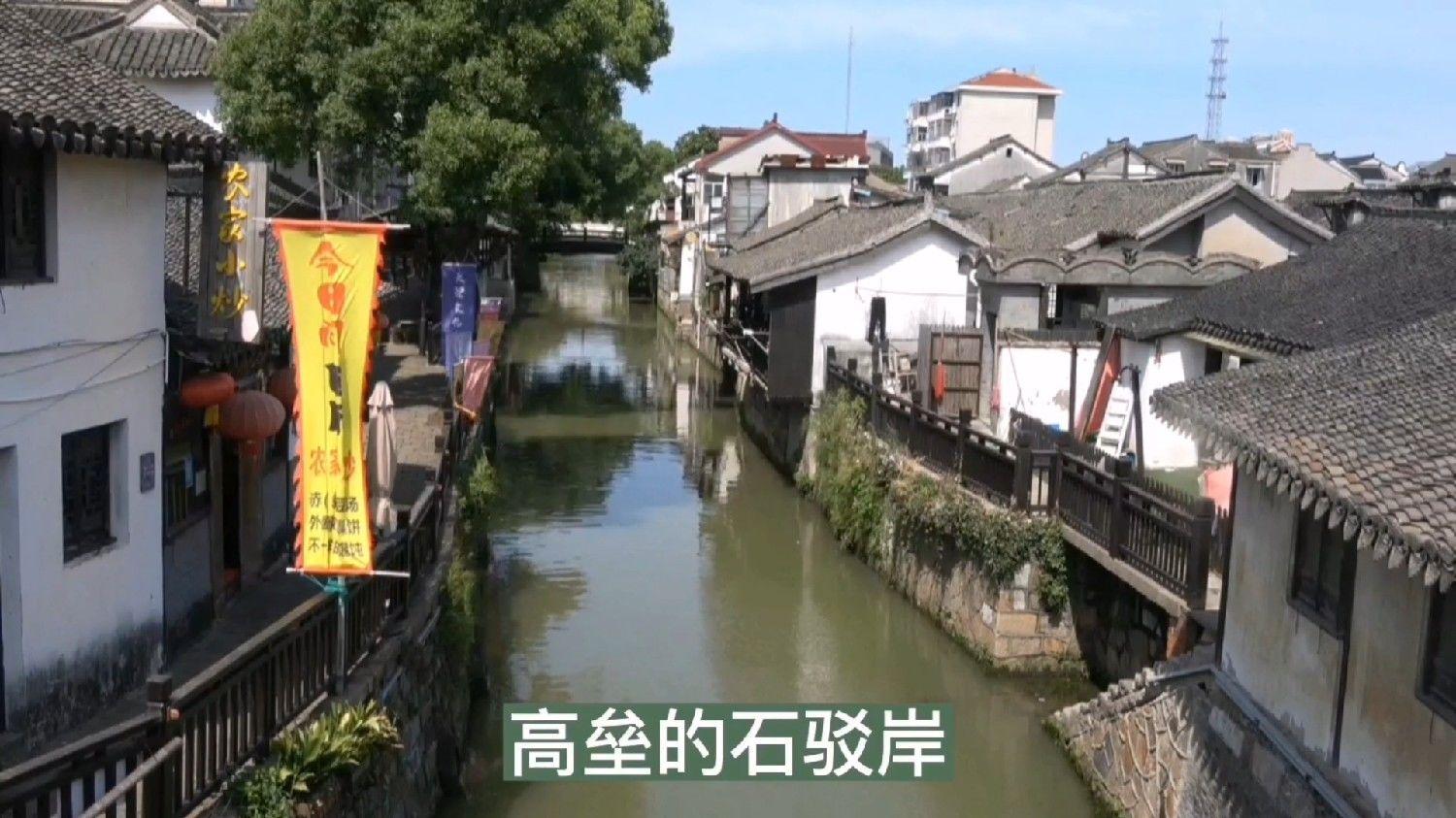 这到底是鹰还是隼?求懂行的科普一下 要是鹰是什么鹰?隼是什么隼?昨天遇到的,要200元,我没买-专业的有问必答平台